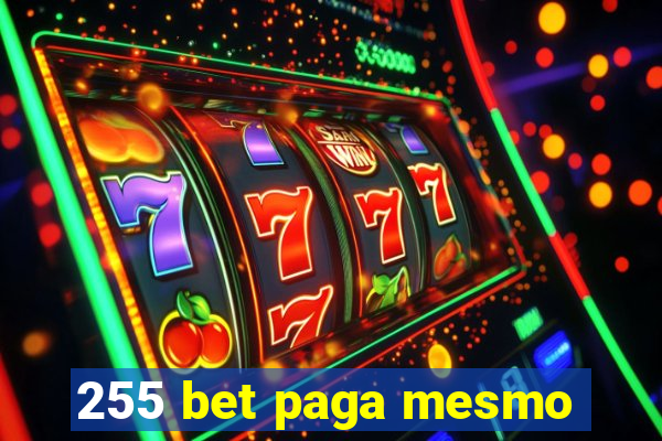 255 bet paga mesmo